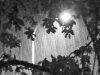 8-8-2013-thunderstom-at-midnight-jpg