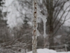 07-04-2013-frozen-water-chain-in-april-snowing
