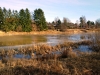 12-03-2014-water-rising-in-river-vantaa