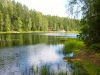18-07-2014-mustalampi-in-nuuksio-national-park