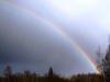 03-05-2015-sunshine-and-rain-it-might-be-summer.JPG
