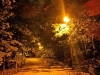 20-10-2015-autumn-night-colours