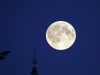 29-08-2015-close-up-of-full-moon