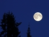 29-08-2015-full-moon-at-darkening-sky