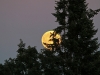 29-08-2015-full-moon-rising