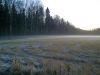 30-10-2015-frost-biting-haltiala-fields