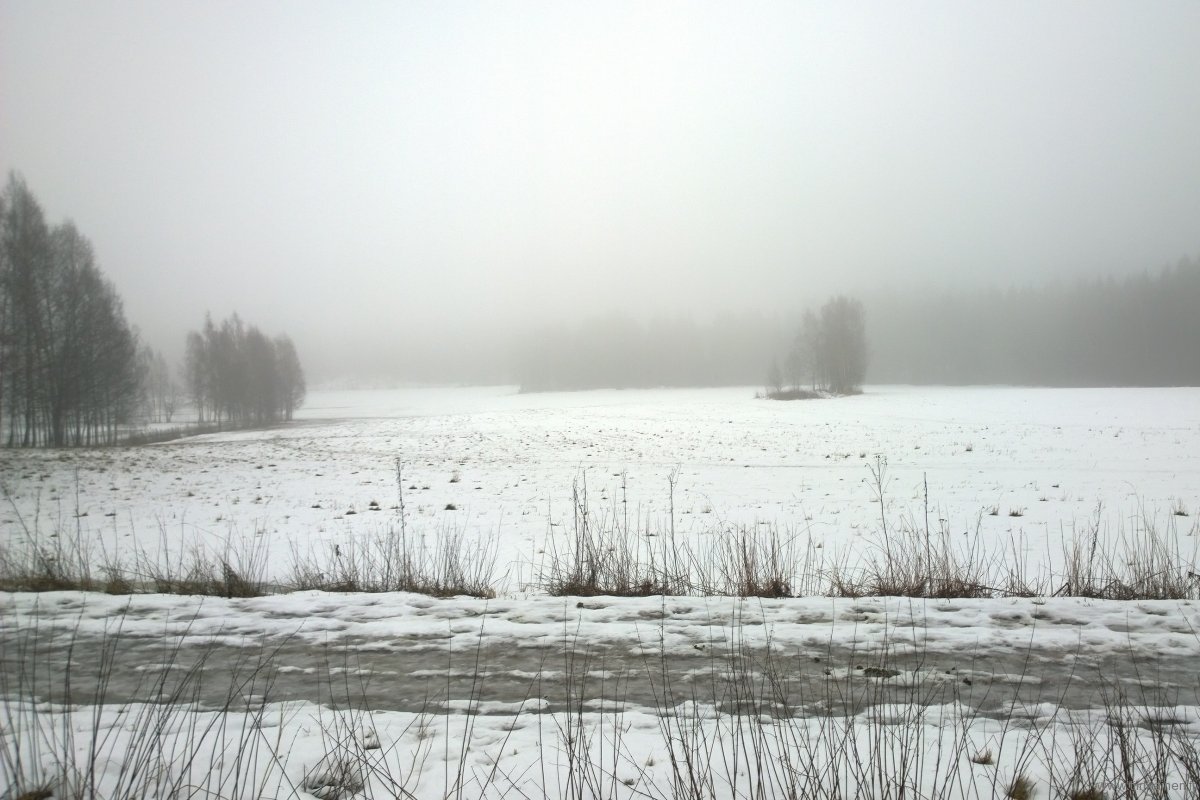 WP_20160207_13_47_51_Pro (2)