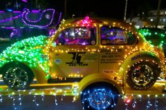PS Festival or Lights Parade 2015