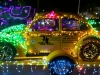 Beetle in Parade