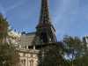hotel-paris-las-vegasissa.jpg