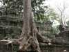 viidakon-valloittama-angkor-thom-kambodzhassa.jpg