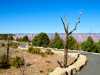 Grand Canyon Rim Trail