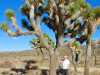 Vesa in Joshua Tree National Park California