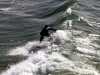 Sitll surfing in late November in Los Angeles
