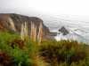 Cliffs of Palos Verdes near Los Angeles