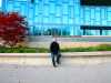 MIT Sloan School of Management and Vesa