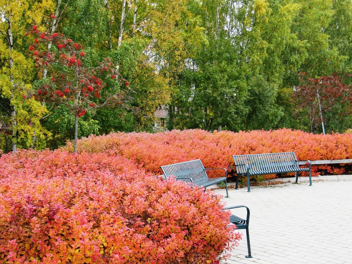 a-colourful-rest-area-around-tapanila