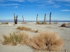 salton-city-beach