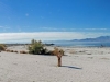 salton-sea-panorama-at-visitor-center