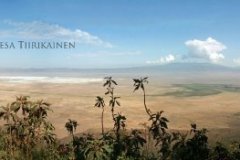 Scenes from Tanzania in 2008