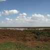 Lake Manyara scene across the hippo pool area