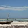 Anothe picture from Kiwengwa