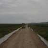 part of Serengeti panorama