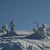snow covered trees at ruka peak