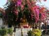 buddha stature in laos