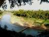 cultivation along river khan banks laos