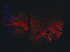 joen-varjot-5