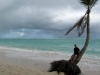 22 Bavaro Beach - Dominikaaninen tasavalta