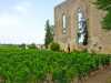 Best wines grow by the town of St Emilion