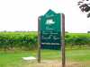 Another great vineyard close to town