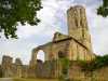 La Sauve-Majeure Abbey ruins on the way back to bordeaux