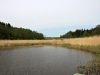 Porvarinlahden pohjukka