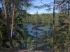 06-2022-Sipoonkorpi-National-Park-Helsinki