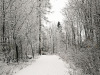 29-12-2020-first-snowcover-in-Helsinki