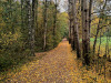 Syksy-saapui-Helsinkiin-30-09-2020
