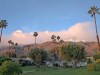 Winter-arrived-in-Palm-Springs-29-11-2019